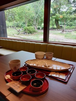 View at Ikkyu-an in Kyoto
