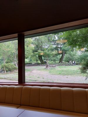 View at Ikkyu-an in Kyoto