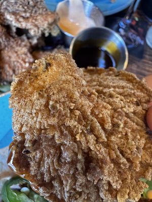 Oyster mushrooms   at The Oakwood in Glossop