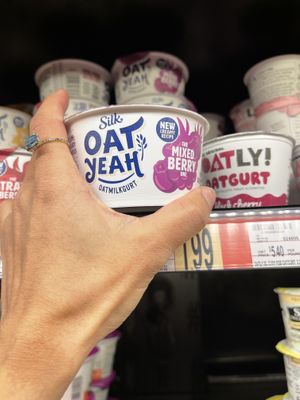 Oatmilk yog   at Wegmans in Erie