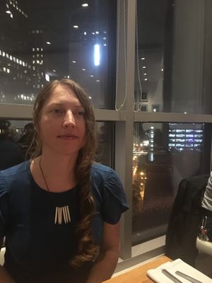 The night time city view was cool, especially because of an epic lightening storm! at Althea in Chicago