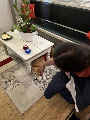   at Ristorante Cantina 26 in Rome