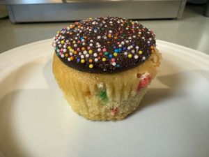Confetti cake with chocolate icing   at Fox & Fawn Bakehouse in Benicia