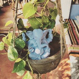 A blessing upon entering HOOPS... before coffee begins  at HOOPS in Mandrem