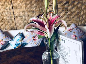 @hoops_coffee decor  at HOOPS in Mandrem