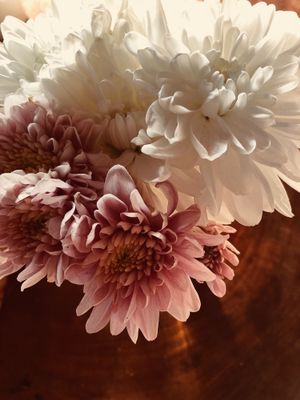 Daily fresh beautiful flowers  at HOOPS in Mandrem