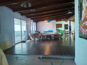 Your escort to treatment room or  dining room. 775-460-3969
"As long as Man continues to be the ruthless destroyer of lower living beings, he will never know health or peace."   at Divine Grace Healing Retreats in Reno