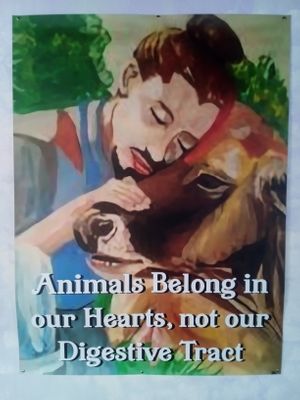  at Divine Grace Healing Retreats in Reno