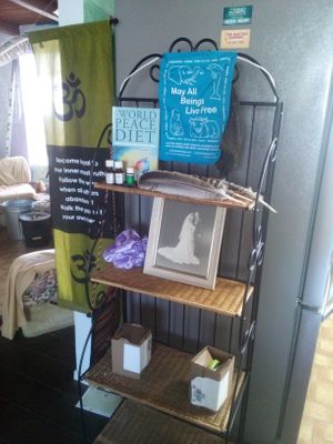 Grab a vegan memes mug and have some organic vegan cocoa at Divine Grace Healing Retreats in Reno