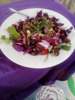 A colorful, organic, salad with pickled beets and olives at Divine Grace Healing Retreats in Reno