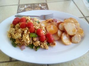 Organic curried tofu with asparagus and onions, and spicey sliced potatoes  at Divine Grace Healing Retreats in Reno
