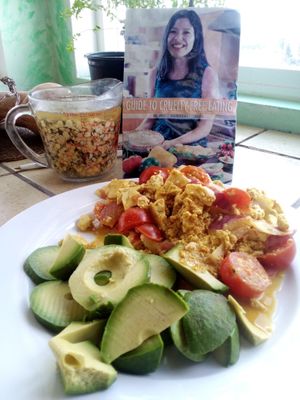Yummy organic vegan breakfast: curried tofu scramble with tomatoes onions and avacado slices at Divine Grace Healing Retreats in Reno