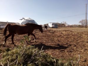  at Divine Grace Healing Retreats in Reno