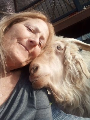  at Divine Grace Healing Retreats in Reno