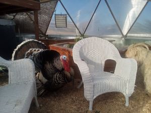  at Divine Grace Healing Retreats in Reno