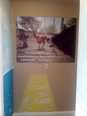  at Divine Grace Healing Retreats in Reno