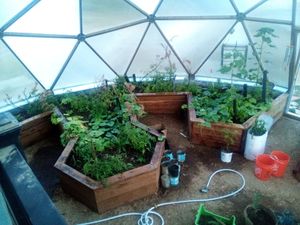  at Divine Grace Healing Retreats in Reno