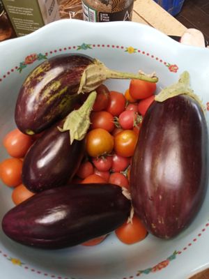 Offering home grown natural produce at Divine Grace Healing Retreats in Reno