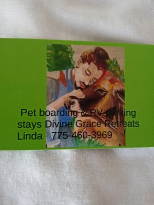 Pet care with hugs, not cages at Divine Grace Healing Retreats in Reno