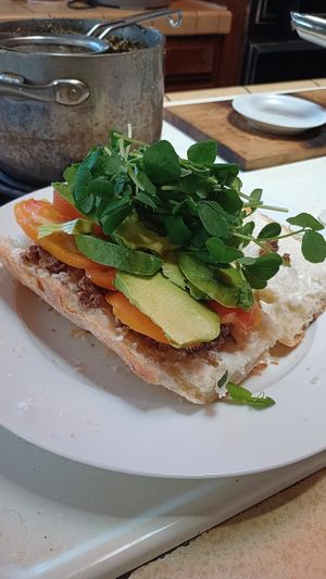 Yummy all organic produce and sprouts vegan breakfast burger veganaise on locally sourced organic baguette  at Divine Grace Healing Retreats in Reno