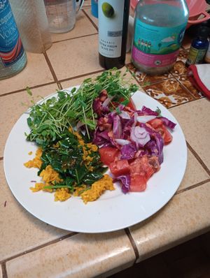 A healthy arrangement spicy tumeric brown rice assorted stir fry veggies and fresh tomatoes  at Divine Grace Healing Retreats in Reno