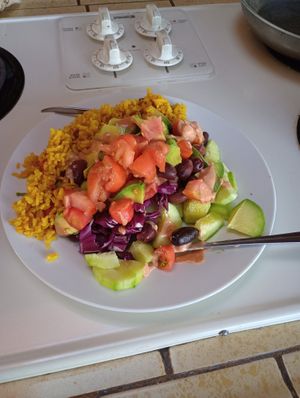 Stir fry and tumeric spiced brown rice  at Divine Grace Healing Retreats in Reno