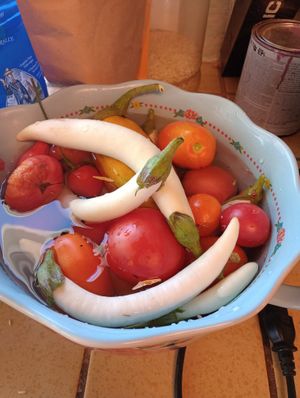 Fresh produce from our solar dome greenhouse  at Divine Grace Healing Retreats in Reno