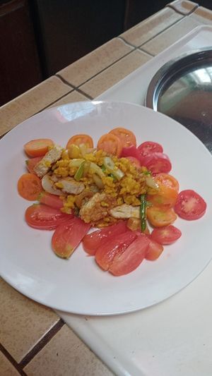 Hudu shitaki tofu burger cubes, fried rice and fresh tomatoes to cool the hot sauce at Divine Grace Healing Retreats in Reno