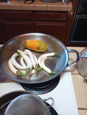 Fresh from the greenhouse and spicy eggplant stir fry next! at Divine Grace Healing Retreats in Reno