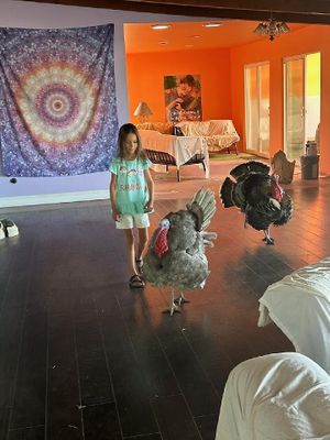 Guests are greeted by resident Turkeys: Handsome and Martin  at Divine Grace Healing Retreats in Reno