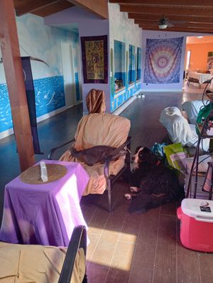 Dining for pet friendly travelers at Divine Grace Healing Retreats in Reno