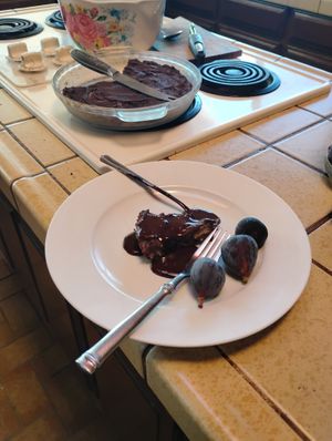 Desserts are a full meal! Vegan organic tiger nut pecan brownie with maple chocolate drizzle and fresh figs at Divine Grace Healing Retreats in Reno