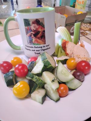 Breakfast begins with a colorful, juice start at Divine Grace Healing Retreats in Reno