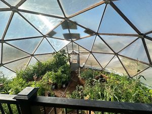 Seasonal organic produce at Divine Grace Healing Retreats in Reno