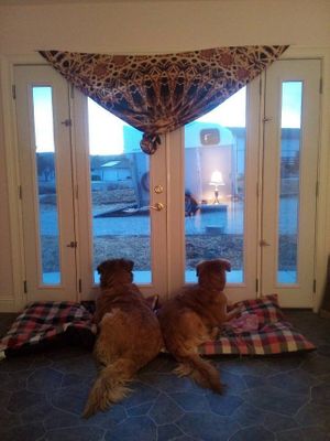 Couches not cages at Divine Grace Healing Retreats in Reno