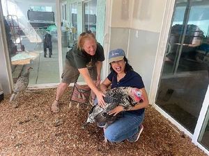 Friends not food💕🙏 at Divine Grace Healing Retreats in Reno