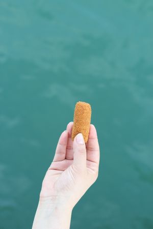 Vegan Ham Croqueta!!  at Vegan Cuban Cuisine in Miami
