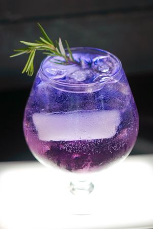 Great Cocktails and wine menu.  at Shiraz Persian Restaurant + Bar in Surfers Paradise