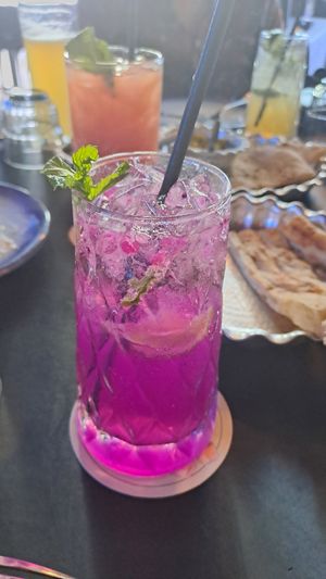  at Shiraz Persian Restaurant + Bar in Surfers Paradise