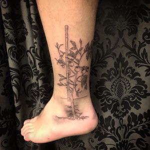 SanManTattoo.com & SanManBeauty.com  Instagrams: sanmantattooparlor sanmanbeauty #Veganuary at SanMan Tattoo Parlor in Madrid