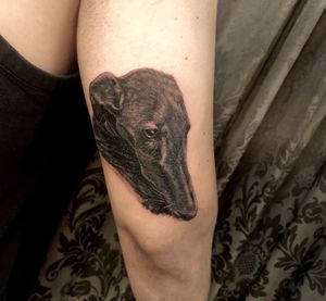 SanManTattoo.com & SanManBeauty.com  Instagrams: sanmantattooparlor sanmanbeauty #Veganuary at SanMan Tattoo Parlor in Madrid