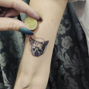 SanMan Tattoo Parlor at SanMan Tattoo Parlor in Madrid