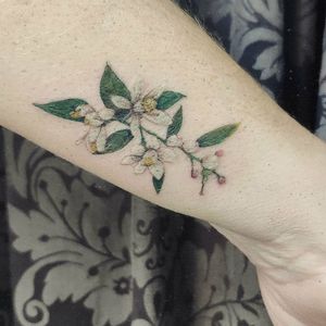 SanMan Tattoo Parlor at SanMan Tattoo Parlor in Madrid