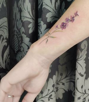 SanMan Tattoo Parlor at SanMan Tattoo Parlor in Madrid