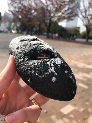 Vegan curry bread  at Pompadour in Atsugi