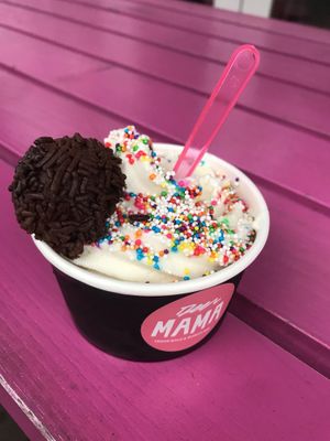 ice cream with truffle  at Deer Mama in Amsterdam