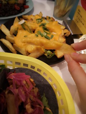  at Deer Mama in Amsterdam