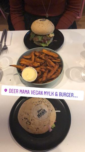 Nice burgers and super crunchy sweet potato fries at Deer Mama in Amsterdam