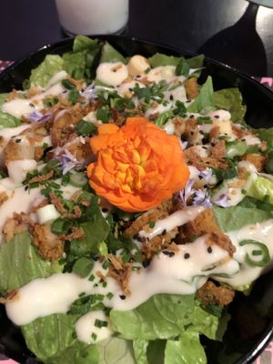 ceasar with wings  at Vegan Junk Food Bar - Downtown in Amsterdam