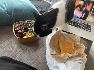 Patti and veggie bowl  at VSource in Herne Hill